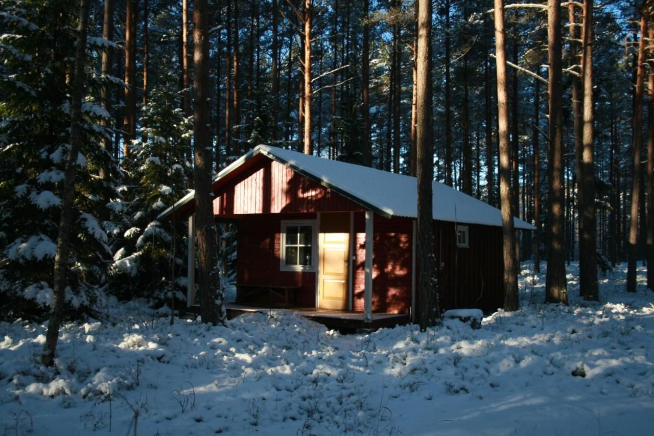 Лоджи Metskonna Forest House Ныва-6